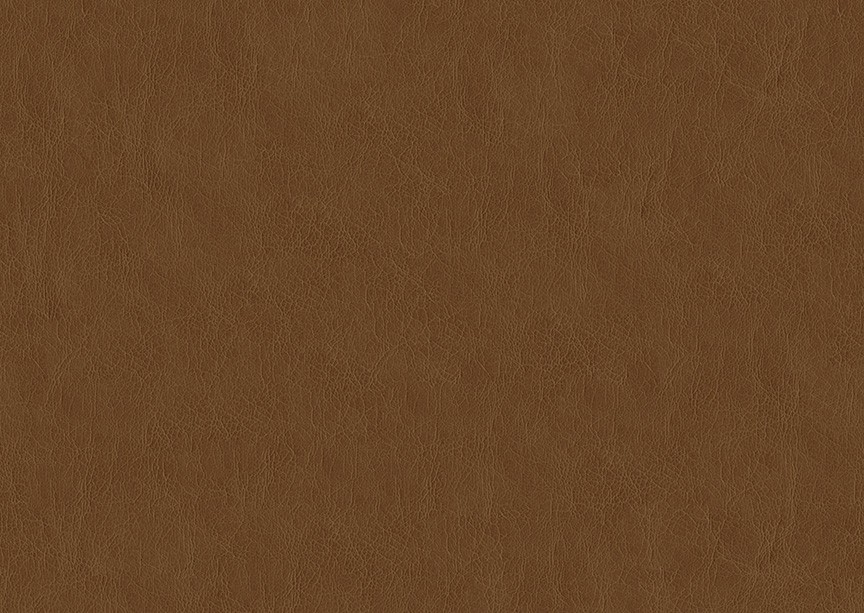 A509